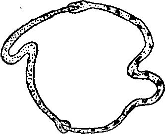 Генри Дьюдени - Пятьсот двадцать головоломок