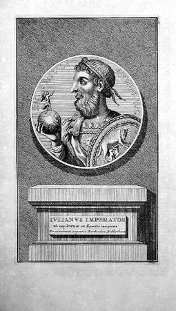 Сборник - Папоротники