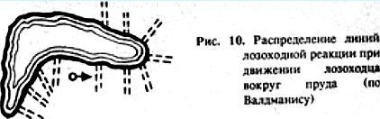 Биопатогенные зоны - угроза заболевания
