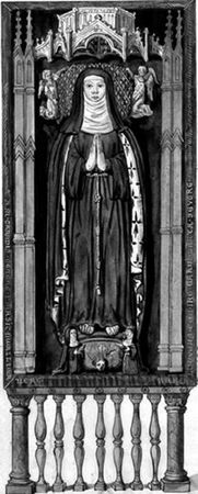 Сборник - Папоротники