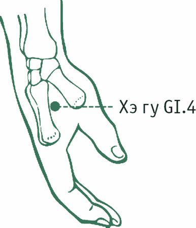 Дина Крупская - Лестница в небо, или Китайская медицина по-русски