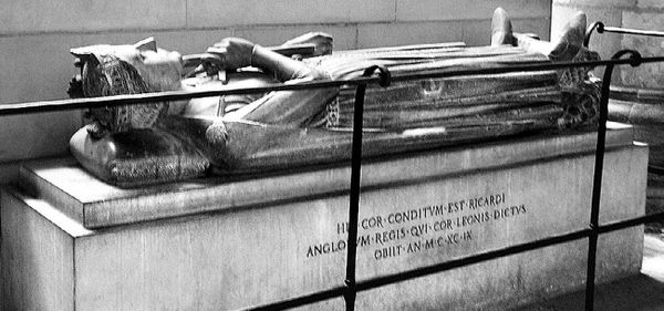 Сборник - Папоротники