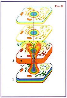Николай Левашов - Сущность и Разум. Том 1