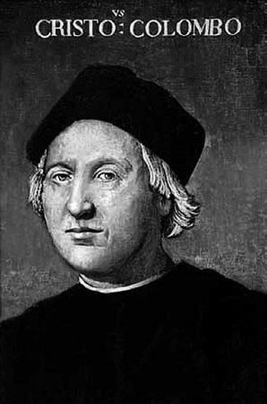 Сборник - Папоротники