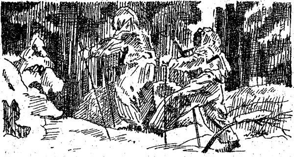 Юрий Плашевский - Дол Заповедный