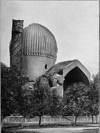 Сборник - Папоротники