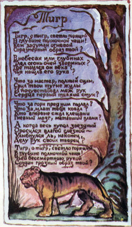 Коллектив авторов - Дикие кошки