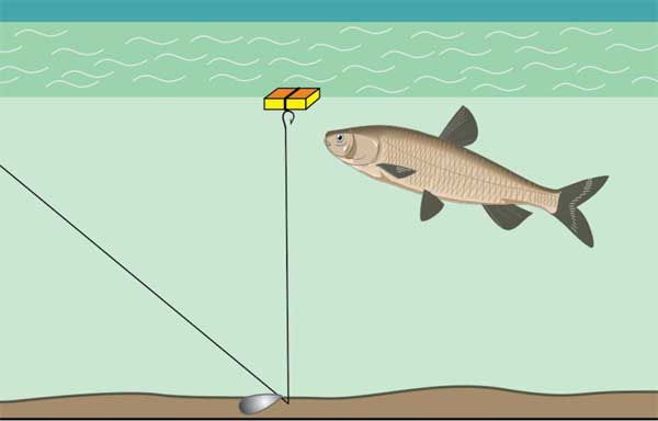 Константин Сторожев - Ловля карпа, леща, толстолобика, белого амура. Секреты и...