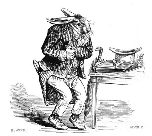 Коллектив авторов - Сцены частной и общественной жизни животных