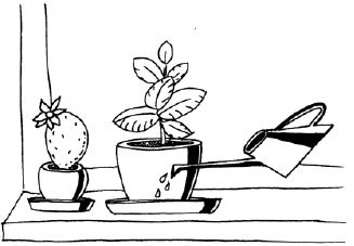 Наталья Логачева, Наталья Шешко - Энциклопедия комнатных растений