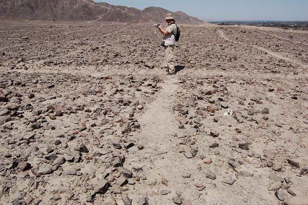 Андрей Скляров - Наска: гигантские рисунки на полях
