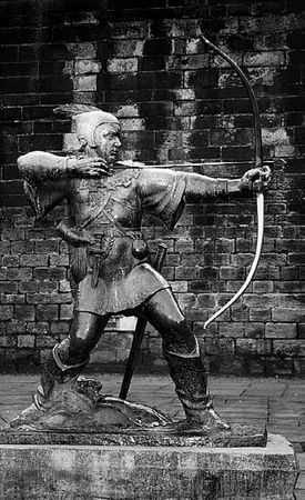 Сборник - Папоротники