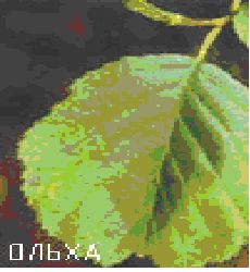 Сергей Бродяга - Инструкция: как изготовить лук своими руками