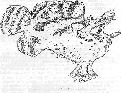 Евгений Крепс - "Витязь" в Индийском океане