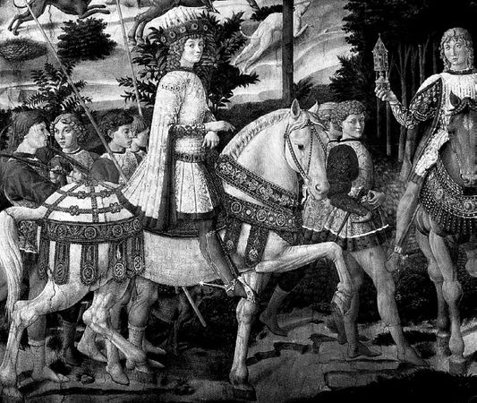 Сборник - Папоротники