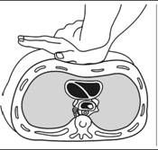 Владимир Давыдов - Безопасность на воде и оказание помощи пострадавшим