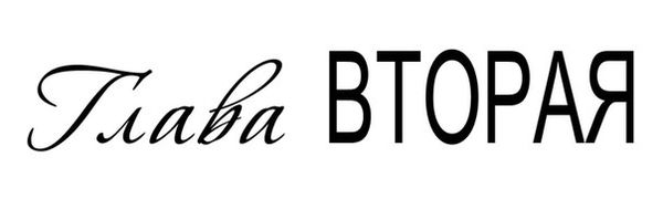 Кристина Лорен - Темная дикая ночь