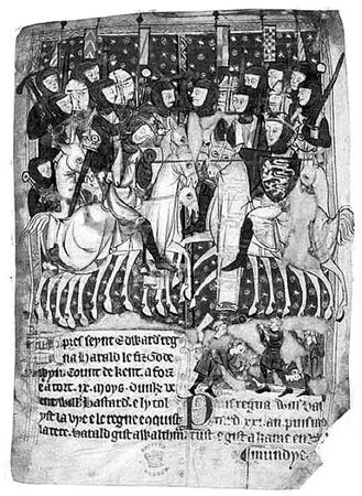 Сборник - Папоротники