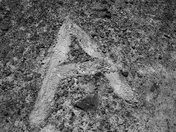 Андрей Скляров - Наска: гигантские рисунки на полях