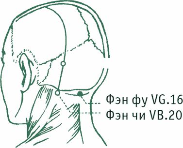 Дина Крупская - Лестница в небо, или Китайская медицина по-русски