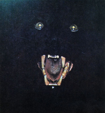 Коллектив авторов - Дикие кошки