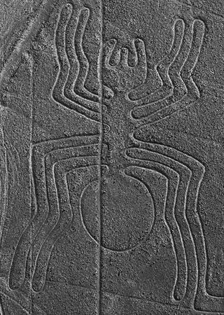 Андрей Скляров - Наска: гигантские рисунки на полях