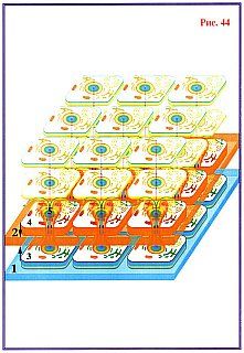 Николай Левашов - Сущность и Разум. Том 1
