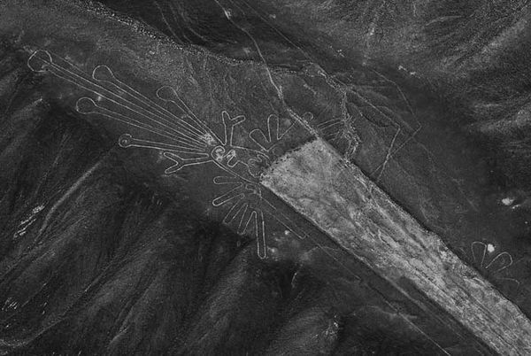 Андрей Скляров - Наска: гигантские рисунки на полях