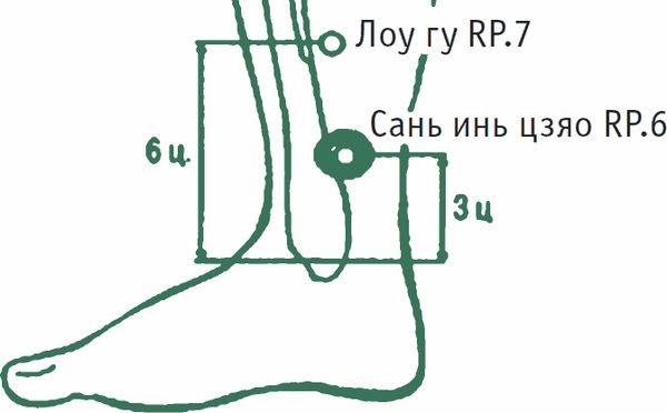 Дина Крупская - Лестница в небо, или Китайская медицина по-русски