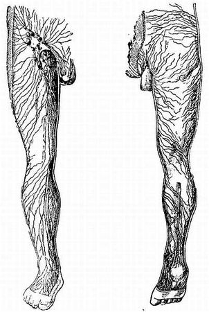 Иван Саркизов-Серазини - Спортивный массаж