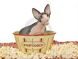 Витя Маков - Снежные пирамиды