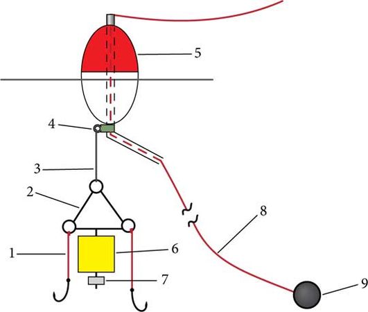 Константин Сторожев - Ловля карпа, леща, толстолобика, белого амура. Секреты и...