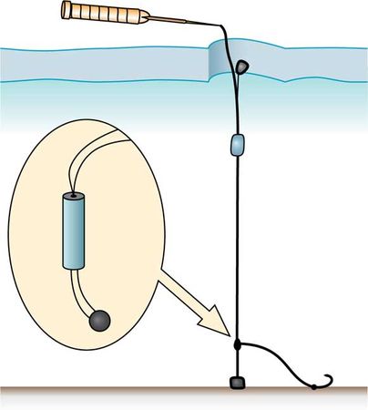 Константин Сторожев - Ловля карпа, леща, толстолобика, белого амура. Секреты и...