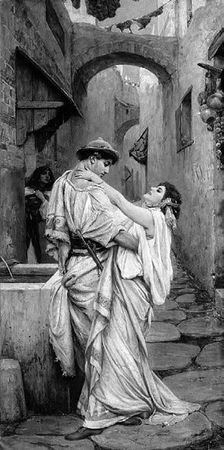 Сборник - Папоротники