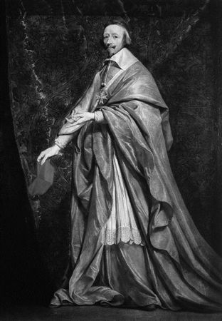 Сборник - Папоротники