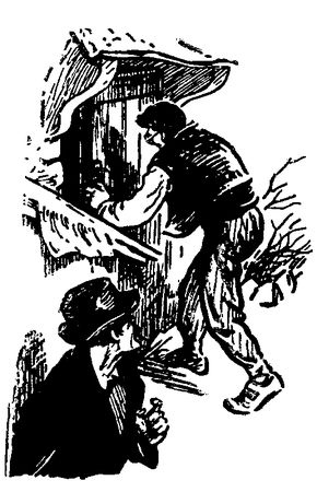 Жюль Габриэль Верн - Необыкновенные приключения экспедиции Барсака. Дунайский лоцман