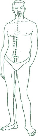 Дина Крупская - Лестница в небо, или Китайская медицина по-русски