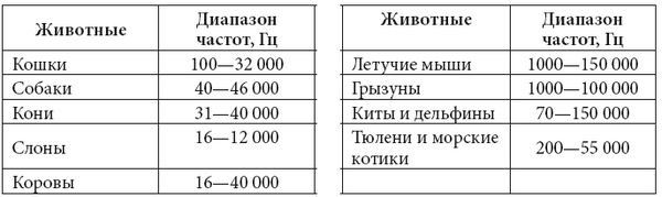 С. Каплун - Физика