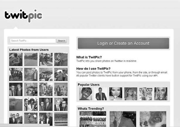 Юлия Федотченко, Елена Сорокина и др. - В социальных сетях. Twitter - 140...