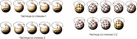 Стивен Хокинг - Мир в ореховой скорлупке