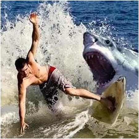 Владимир Коркош - Этот загадочный подводный мир