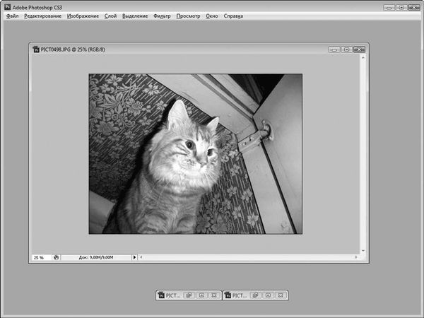 Олег Мединов - Photoshop. Мультимедийный курс