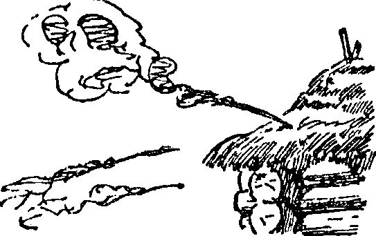 Ольга Гурьян - Набег