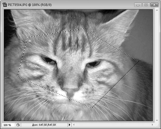 Олег Мединов - Photoshop. Мультимедийный курс