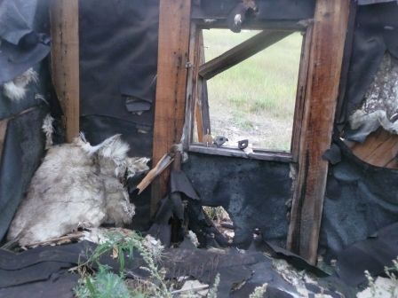 Андрей Ефремов - По следу снежного человека