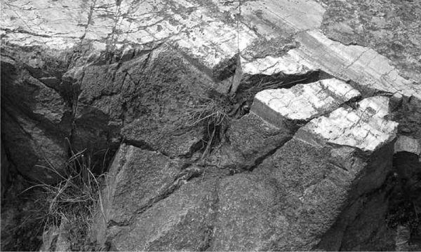 Андрей Скляров - Древние боги - кто они