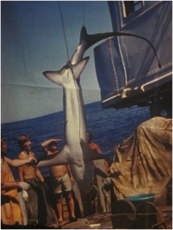 Владимир Коркош - Этот загадочный подводный мир