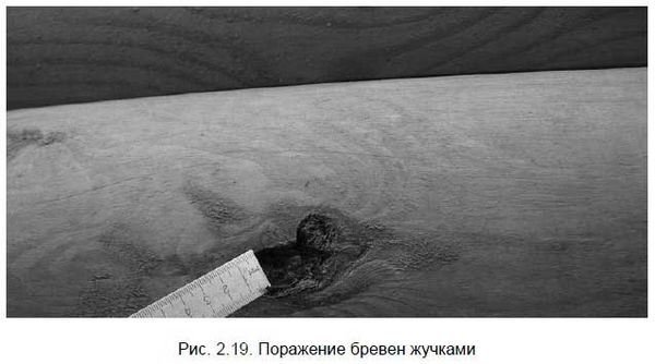 Андрей Кашкаров - Бывший горожанин в деревне. Курс выживания