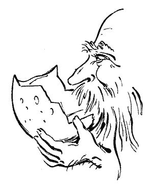 Мор Йокаи - 20 000 лет подо льдом