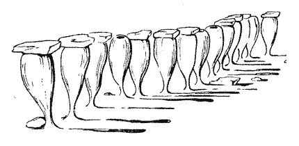 Мор Йокаи - 20 000 лет подо льдом